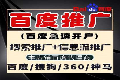 成功案例：专业SEM托管服务助力企业拓展海外市场